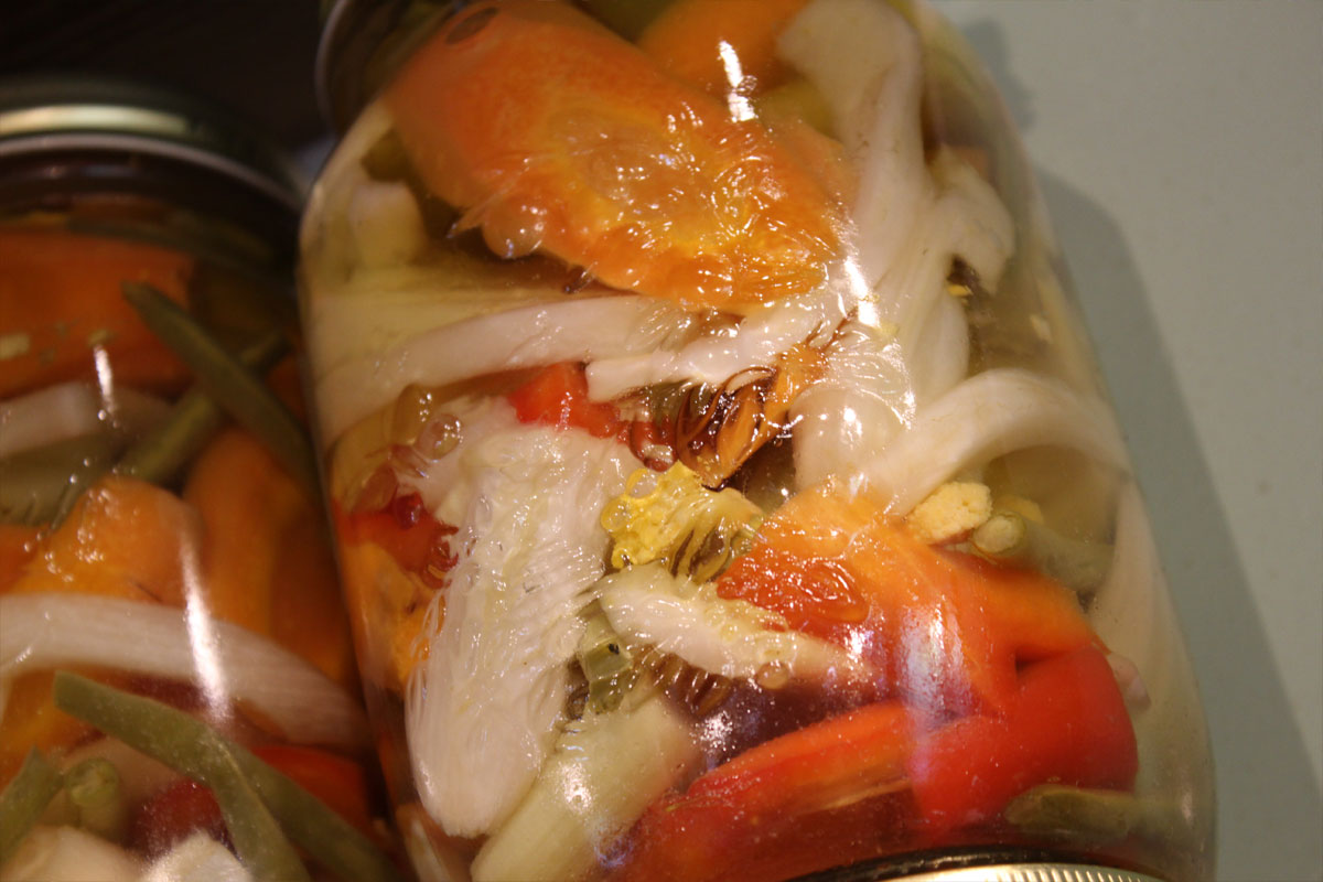 cibo_23